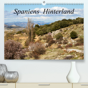 Spaniens Hinterland (Premium, hochwertiger DIN A2 Wandkalender 2020, Kunstdruck in Hochglanz) von Salzmann,  Ursula