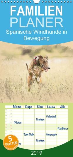 Spanische Windhunde in Bewegung – Familienplaner hoch (Wandkalender 2019 , 21 cm x 45 cm, hoch) von Redecker,  Andrea