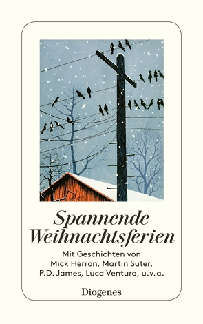 Spannende Weihnachtsferien von Armit,  Shelagh