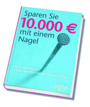 Sparen Sie 10.000 € mit einem Nagel