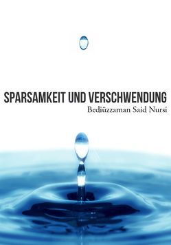 Sparsamkeit und Verschwendung von Aslan,  Serdar