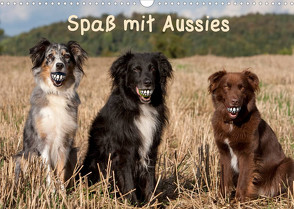 Spaß mit Aussies (Wandkalender 2023 DIN A3 quer) von Münzel-Hashish - www.tierphotografie.com,  Angela