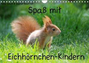 Spaß mit Eichhörnchen-Kindern (Wandkalender 2022 DIN A4 quer) von Adam,  Heike