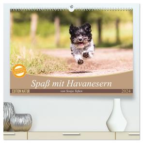 Spaß mit Havanesern (hochwertiger Premium Wandkalender 2024 DIN A2 quer), Kunstdruck in Hochglanz von Teßen,  Sonja