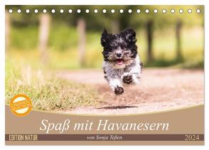 Spaß mit Havanesern (Tischkalender 2024 DIN A5 quer), CALVENDO Monatskalender von Teßen,  Sonja