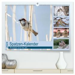 Spatzen-Kalender (hochwertiger Premium Wandkalender 2024 DIN A2 quer), Kunstdruck in Hochglanz von Drews,  Marianne