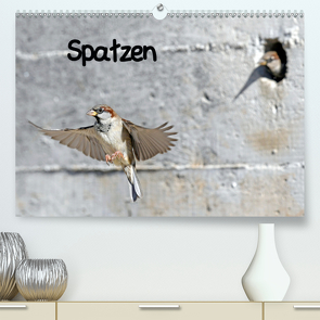 Spatzen (Premium, hochwertiger DIN A2 Wandkalender 2021, Kunstdruck in Hochglanz) von Trapp,  Benny