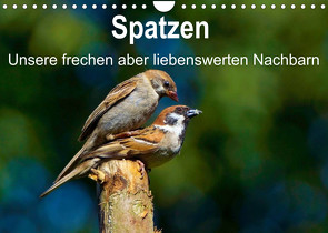 Spatzen, unsere frechen aber liebenswerte Nachbarn (Wandkalender 2023 DIN A4 quer) von Klapp,  Lutz