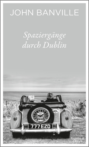 Spaziergänge durch Dublin von Banville,  John, Schuenke,  Christa