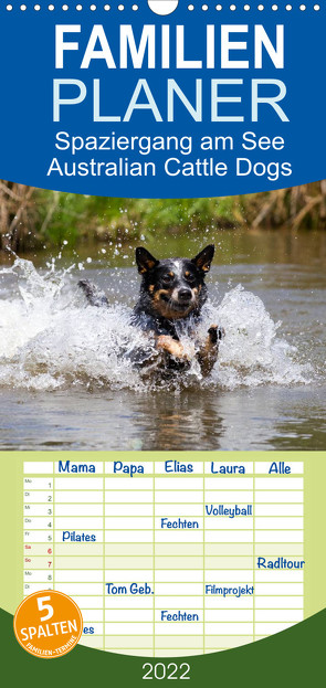 Spaziergang am See Australian Cattle Dogs – Familienplaner hoch (Wandkalender 2022 , 21 cm x 45 cm, hoch) von Verena Scholze,  Fotodesign