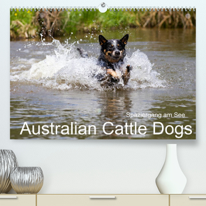 Spaziergang am See Australian Cattle Dogs (Premium, hochwertiger DIN A2 Wandkalender 2022, Kunstdruck in Hochglanz) von Verena Scholze,  Fotodesign