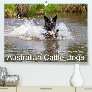 Spaziergang am See Australian Cattle Dogs (Premium, hochwertiger DIN A2 Wandkalender 2023, Kunstdruck in Hochglanz) von Verena Scholze,  Fotodesign