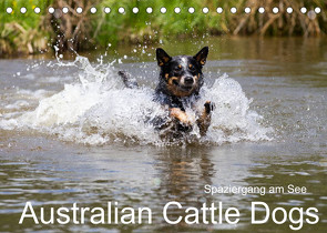 Spaziergang am See Australian Cattle Dogs (Tischkalender 2022 DIN A5 quer) von Verena Scholze,  Fotodesign