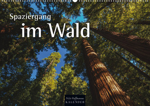 Spaziergang im Wald (Wandkalender 2023 DIN A2 quer) von Hoffmann,  Nils