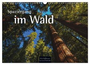 Spaziergang im Wald (Wandkalender 2024 DIN A3 quer), CALVENDO Monatskalender von Hoffmann,  Nils