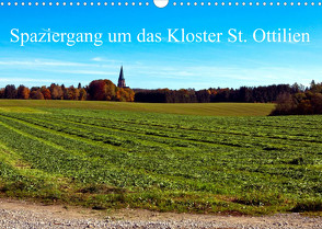 Spaziergang um das Kloster St. Ottilien (Wandkalender 2022 DIN A3 quer) von Marten,  Martina