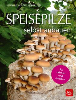 Speisepilze selbst anbauen von Goldscheider,  Stefanie