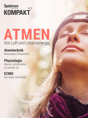 Spektrum Kompakt – Atmen