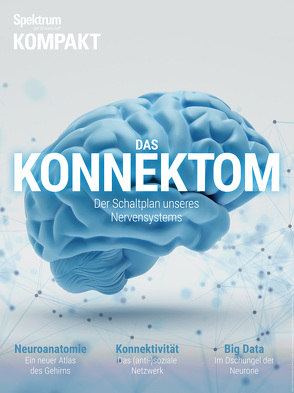 Spektrum Kompakt – Das Konnektom