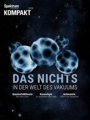 Spektrum Kompakt – Das Nichts