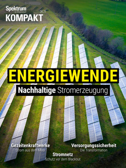 Spektrum Kompakt – Energiewende