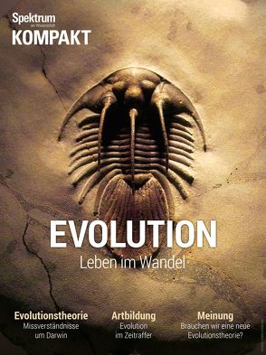 Spektrum Kompakt – Evolution