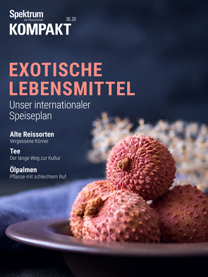 Spektrum Kompakt – Exotische Lebensmittel