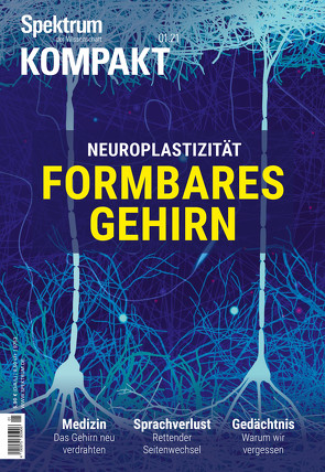 Spektrum Kompakt – Formbares Gehirn