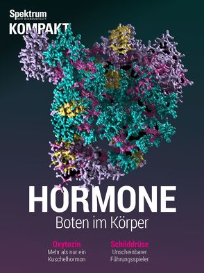 Spektrum Kompakt – Hormone