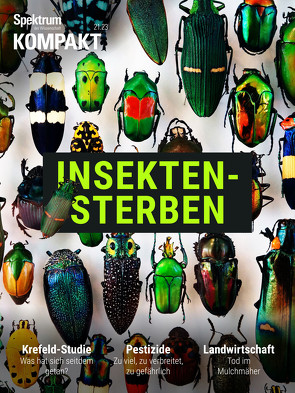 Spektrum Kompakt – Insektensterben