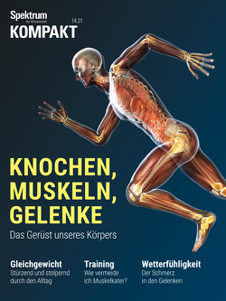 Spektrum Kompakt – Knochen, Muskeln, Gelenke