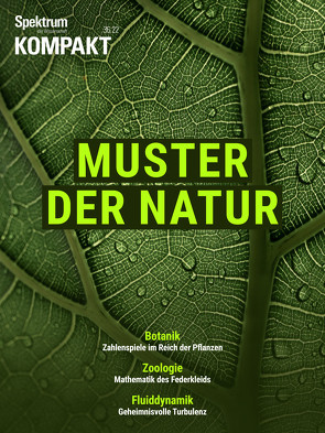 Spektrum Kompakt – Muster der Natur