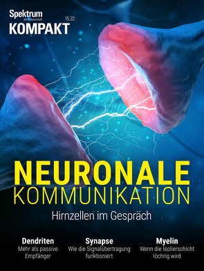 Spektrum Kompakt – Neuronale Kommunikation