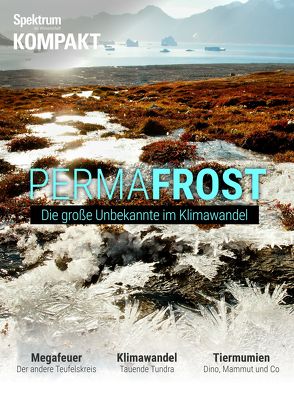 Spektrum Kompakt – Permafrost