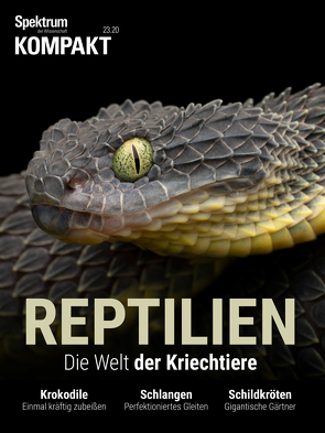 Spektrum Kompakt – Reptilien