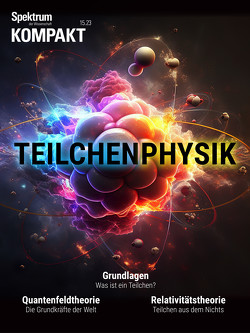 Spektrum Kompakt – Teilchenphysik