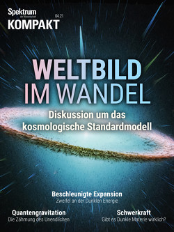 Spektrum Kompakt – Weltbild im Wandel