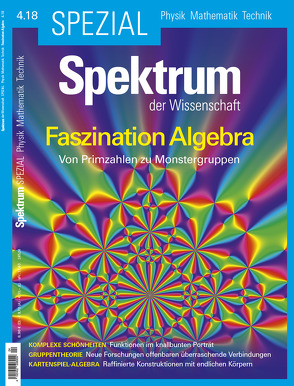 Spektrum Spezial – Faszination Algebra