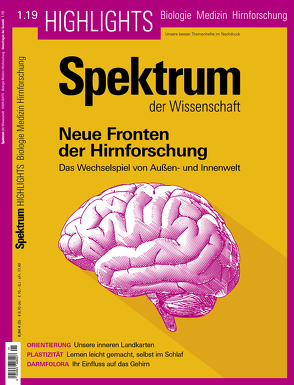 Spektrum Spezial – Neue Fronten der Hirnforschung