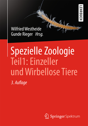 Spezielle Zoologie. Teil 1: Einzeller und Wirbellose Tiere von Lay,  Martin, Rieger,  Gunde, Rieger,  Reinhard, Westheide,  Wilfried