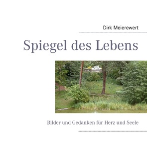 Spiegel des Lebens von Meierewert,  Dirk