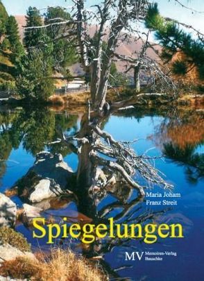 Spiegelungen von Joham,  Maria, Streit,  Franz