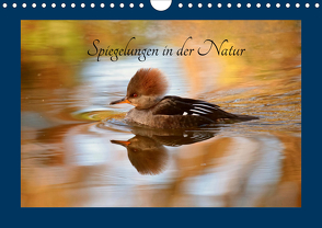 Spiegelungen in der Natur (Wandkalender 2021 DIN A4 quer) von Erlwein,  Winfried