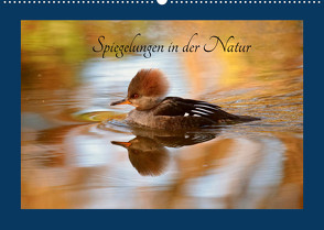 Spiegelungen in der Natur (Wandkalender 2022 DIN A2 quer) von Erlwein,  Winfried