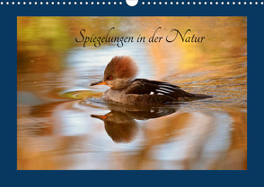 Spiegelungen in der Natur (Wandkalender 2022 DIN A3 quer) von Erlwein,  Winfried