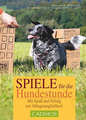 Spiele für die Hundestunde von Hense,  Maria, Sondermann,  Christina