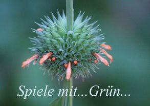 Spiele mit… Grün… (Tischaufsteller DIN A5 quer) von Schneider,  Bettina