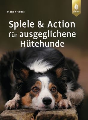 Spiele und Action für ausgeglichene Hütehunde von Albers,  Marion
