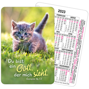 Spielkartenkalender 2023