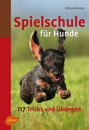 Spielschule für Hunde von Amo,  Ines Celina del